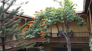 2017-Las_Palmas-Gran_Canaria-015.JPG